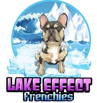 Lake Effect Frenchies